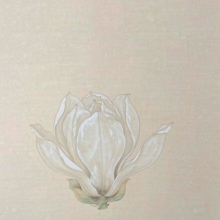 白玉兰工笔小品